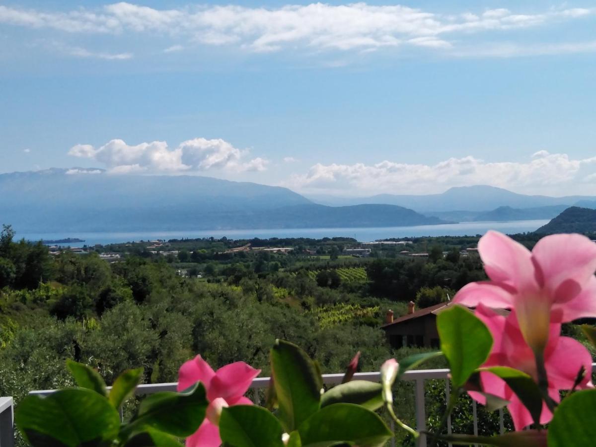 Bio Vivere La Bed & Breakfast