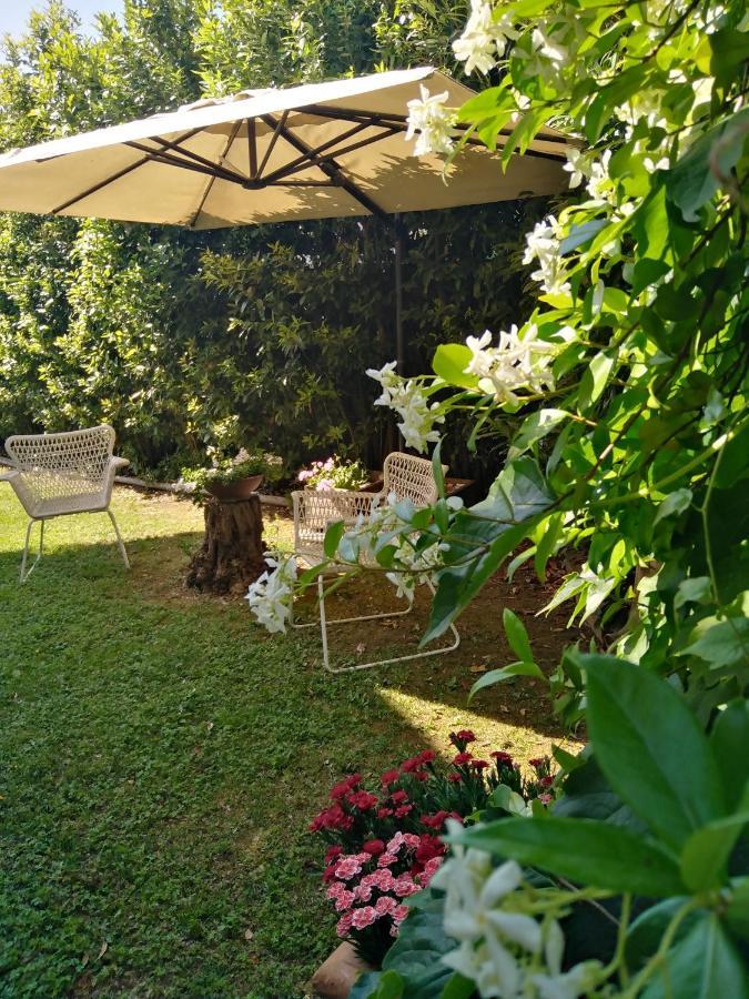 Bio Vivere La *