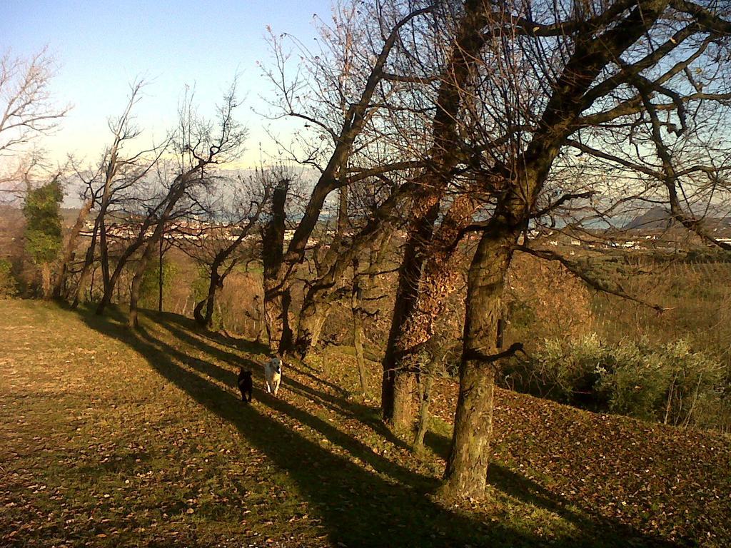 Bio Vivere La