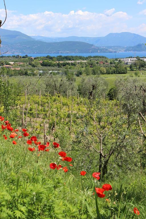 Bio Vivere La Bed & Breakfast *